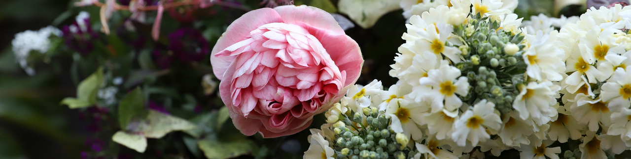 ナカハラガーデニングのこだわり