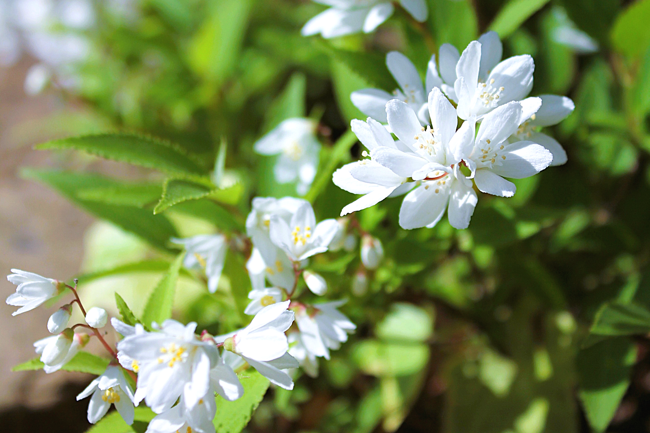 土日祝日も対応いたします。（エゴ写真）