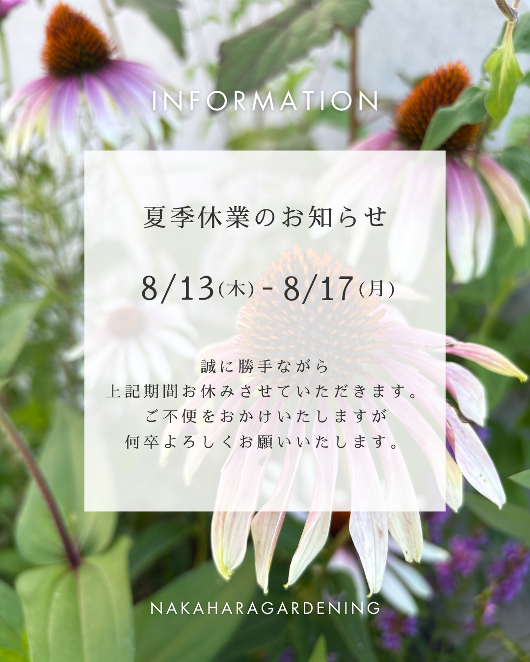 新着情報　お知らせ　夏季営業日・休業日のお知らせ