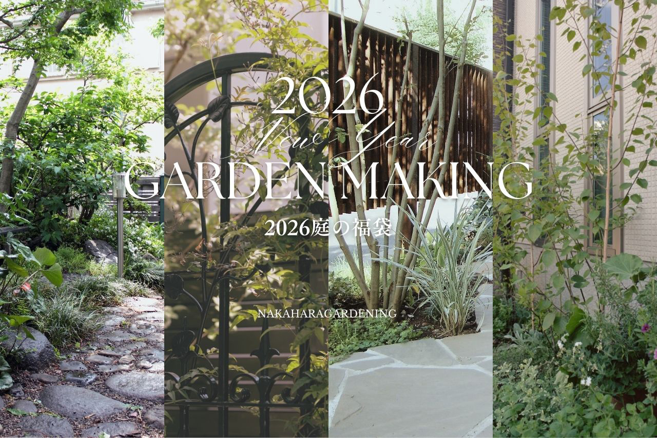 新着情報　＼新年 庭の福袋2026／プレゼント 1.13⇀2.17