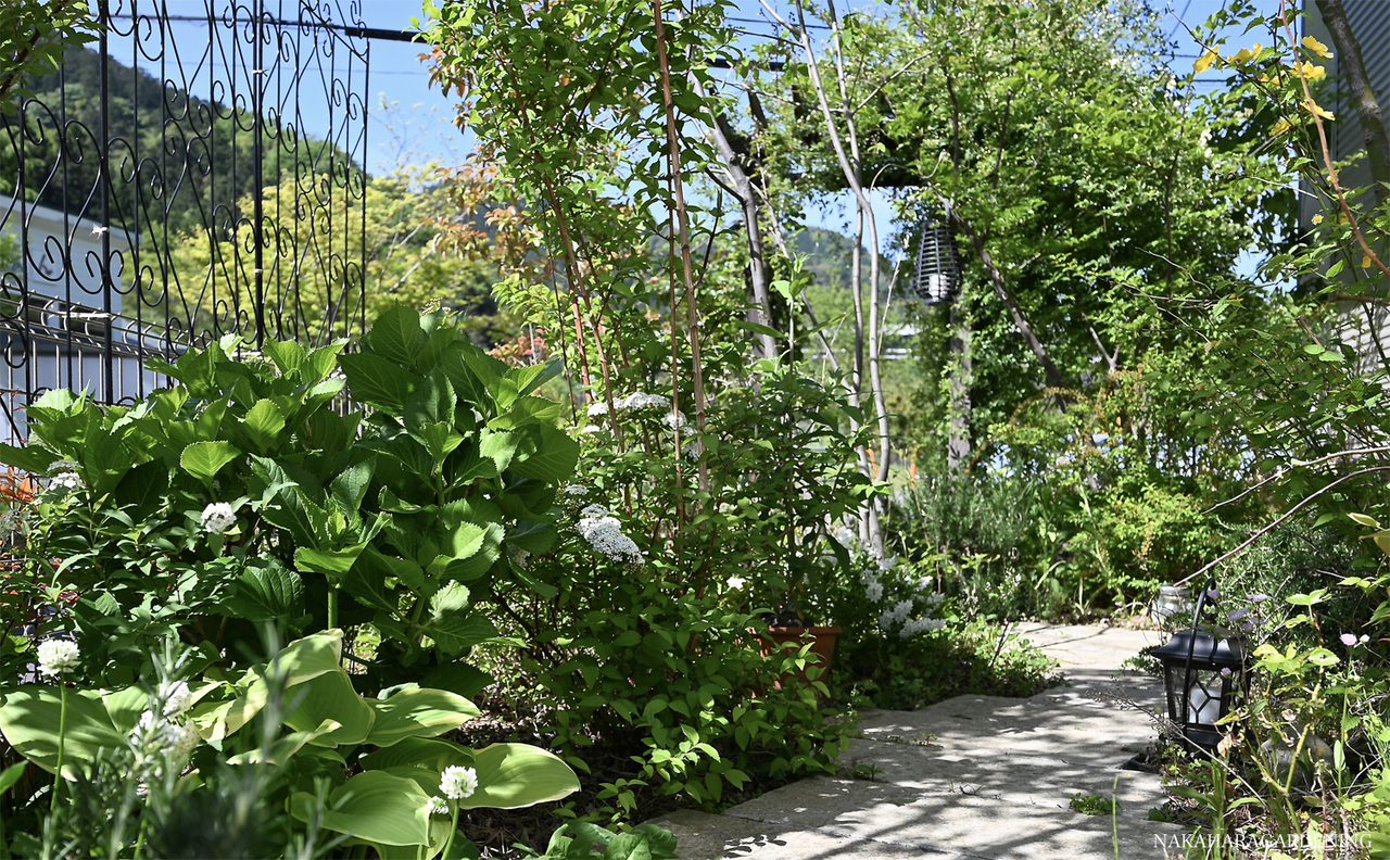 自然な感じの庭づくり、周辺の山々にとけ込む庭_好きな植物や花に囲まれて暮らす_東京都八王子市