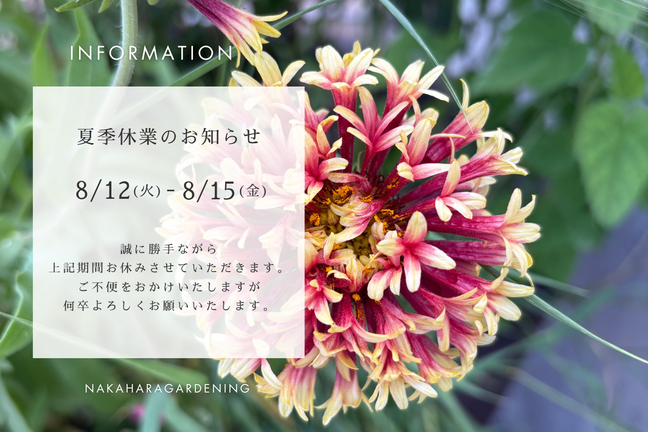 新着情報　お知らせ　夏季営業日・休業日のお知らせ
