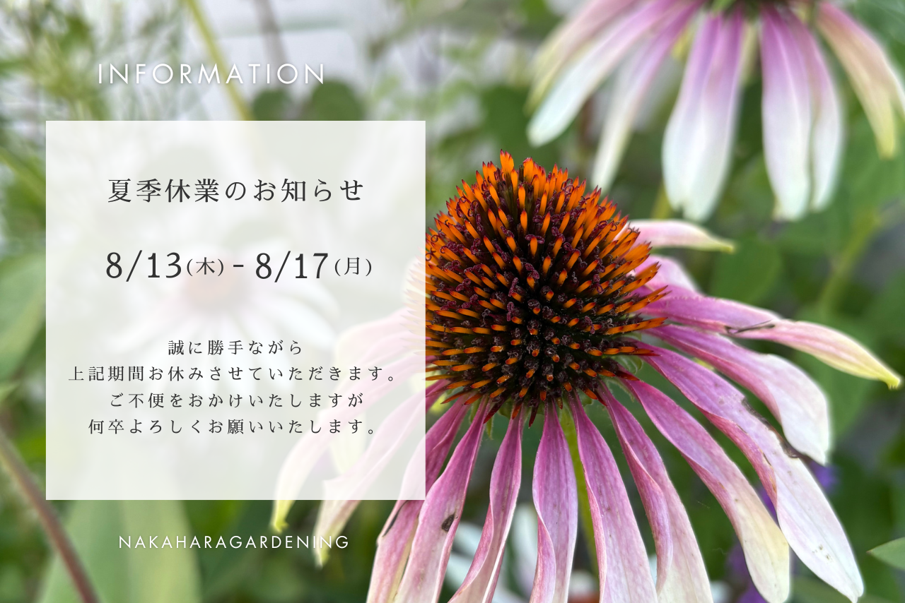 夏季休業のお知らせ