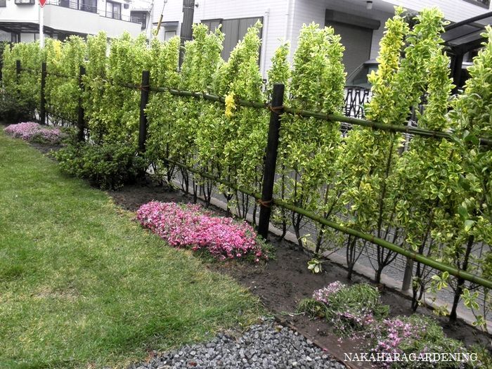 生垣やツツジで庭のイメージが一変 東京都 東久留米市 ｙｋ 様 杉並区 武蔵野市で造園 庭づくり 植栽はナカハラガーデニング
