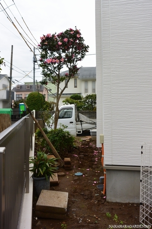 通路のような限られたスペースを奥行き感のある庭に変える方法 東京都 府中市 原 真理子様 通路のような限られたスペースを奥行き感のある庭に変える方法 東京都 府中市 原 真理子様