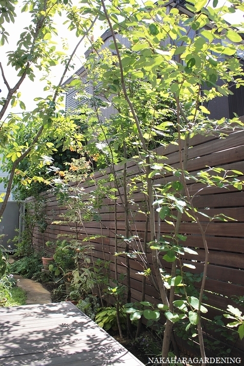 庭づくりの施工例】 - 杉並区・武蔵野市で造園・庭づくり・植栽 庭づくりの施工例】 - 杉並区・武蔵野市で造園・庭づくり・植栽