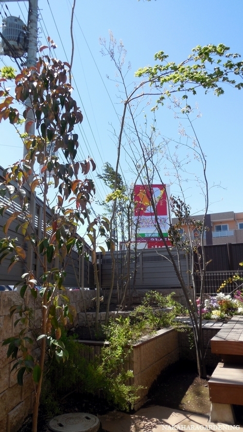 全面 土だけだった庭が 立体的な庭に変身 ２つの庭と５層の花壇を楽しむ 埼玉県 ｔ ｙ 様邸