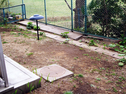 マンションの専用庭をリフォーム いい感じの庭になりました 東京都 板橋区 島田 様 杉並区 武蔵野市で造園 庭づくり 植栽はナカハラガーデニング