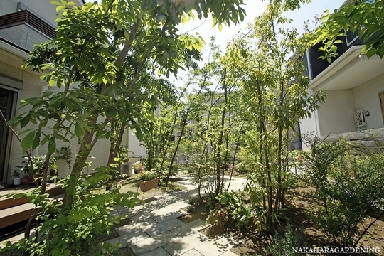 杉並区 武蔵野市で造園 庭づくり 植栽はナカハラガーデニング