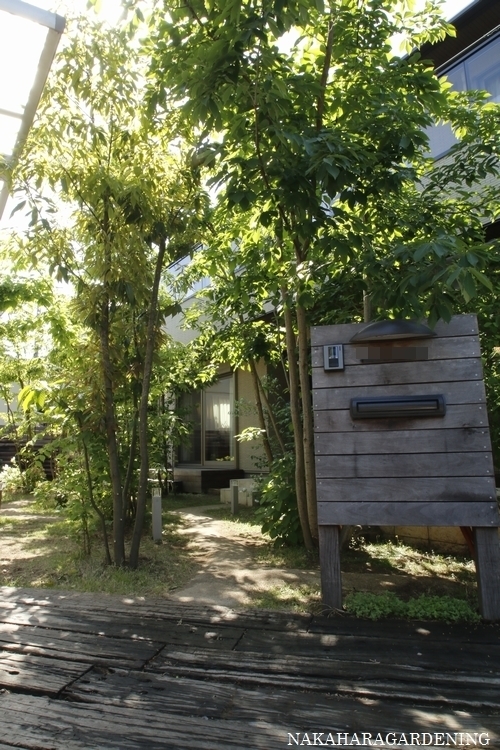 庭づくりの施工例 杉並区 武蔵野市で造園 庭づくり 植栽はナカハラガーデニング