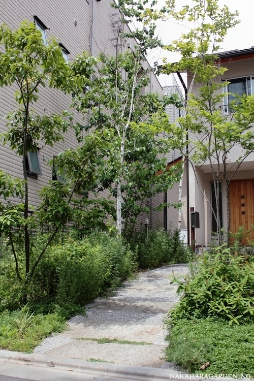 デザインも家族それぞれの希望に合わせて 二世帯住宅の庭づくり 杉並区 武蔵野市で造園 庭づくり 植栽はナカハラガーデニング